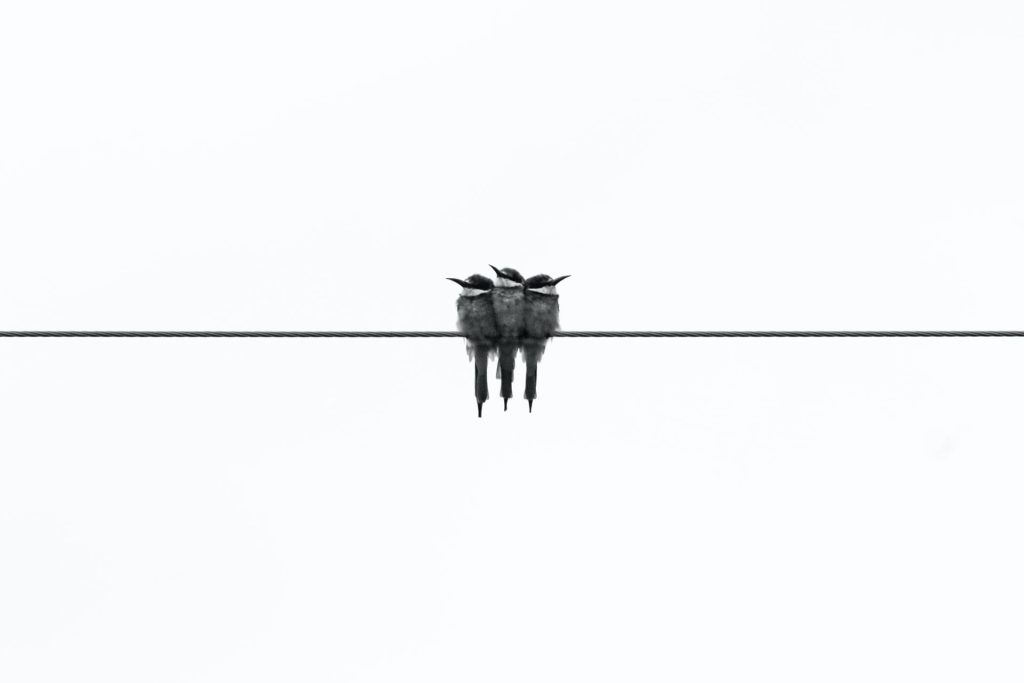 Fotoğrafçılıkta Minimalizm: Daha Azla Daha Fazla Anlatmak